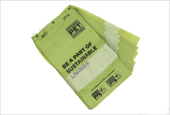 Bilancio di trasporto aereo Biodegradabile Spedizione Mailers Padded Compostabile Mailer